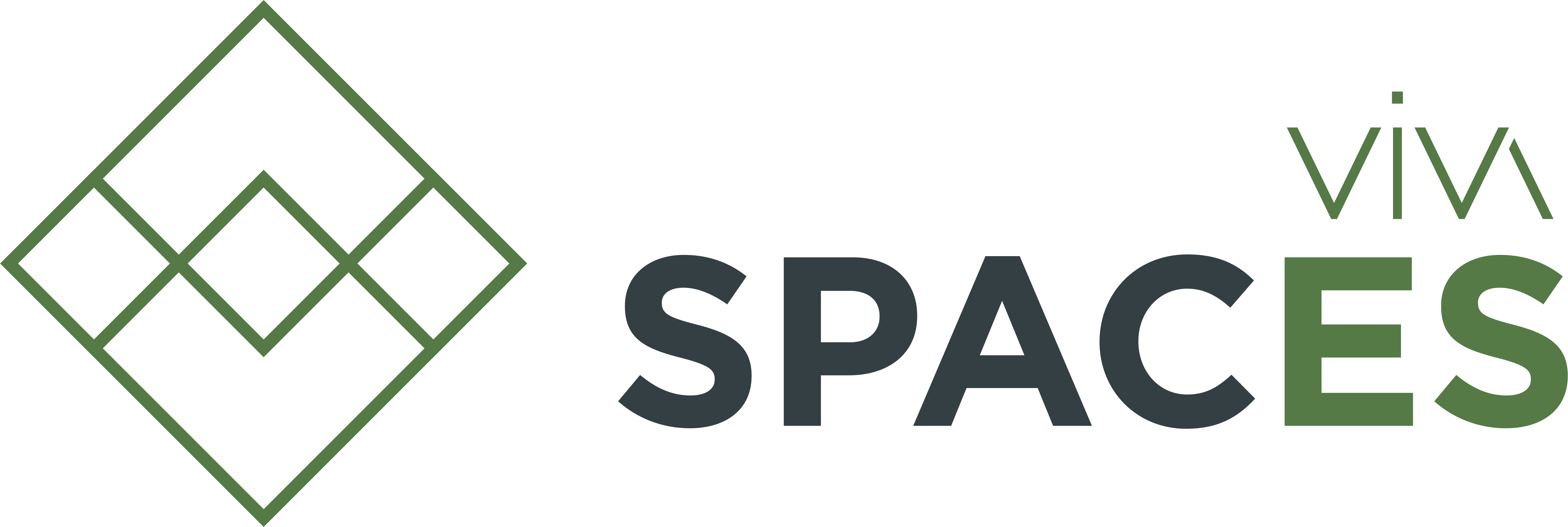 VIVA SPACES